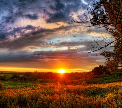 Pôr do sol colorido sobre campos de verão