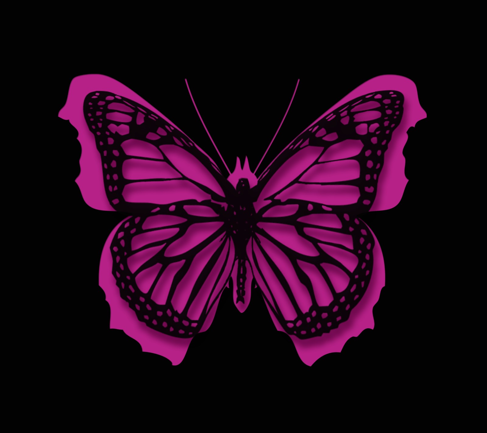 Purple butterfly on black background (black, butterfly, design, pink, vector)