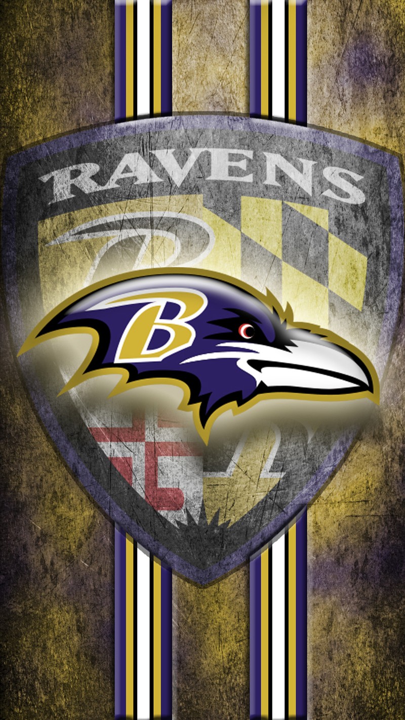 Логотип baltimore ravens на щите с клетчатым фоном (футбол, nfl)