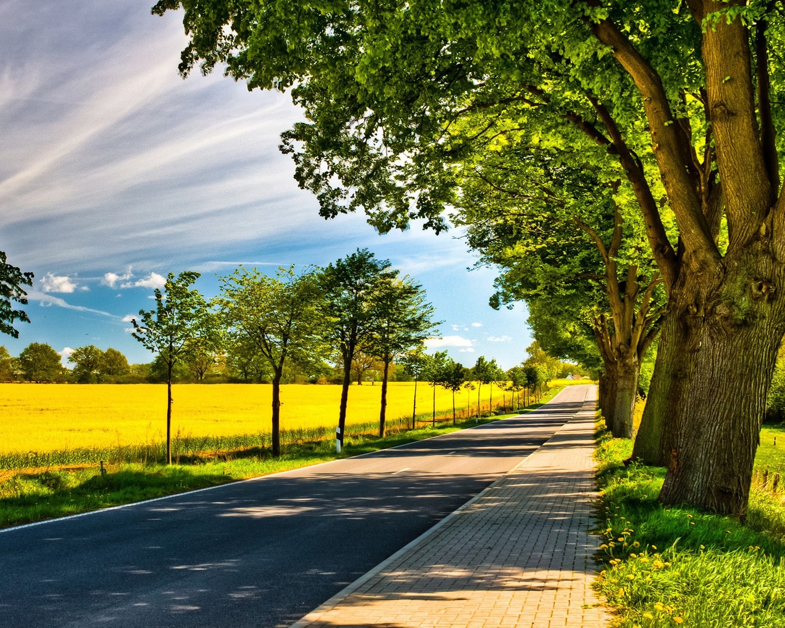 cool, country, field, natural, nature wallpaper