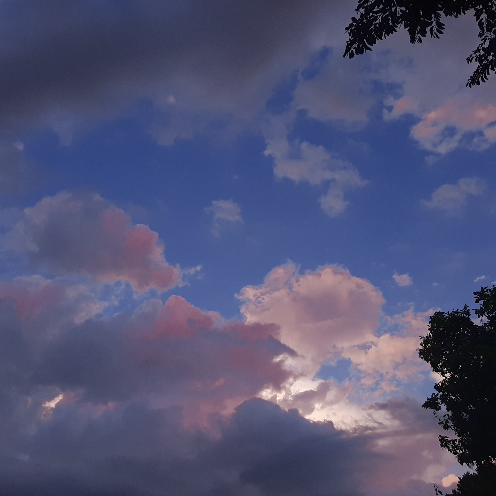 Il y a un avion volant dans le ciel avec des nuages en arrière-plan (ciel, nuages)