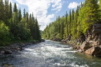 river, watercourse, forest, waterfall, water