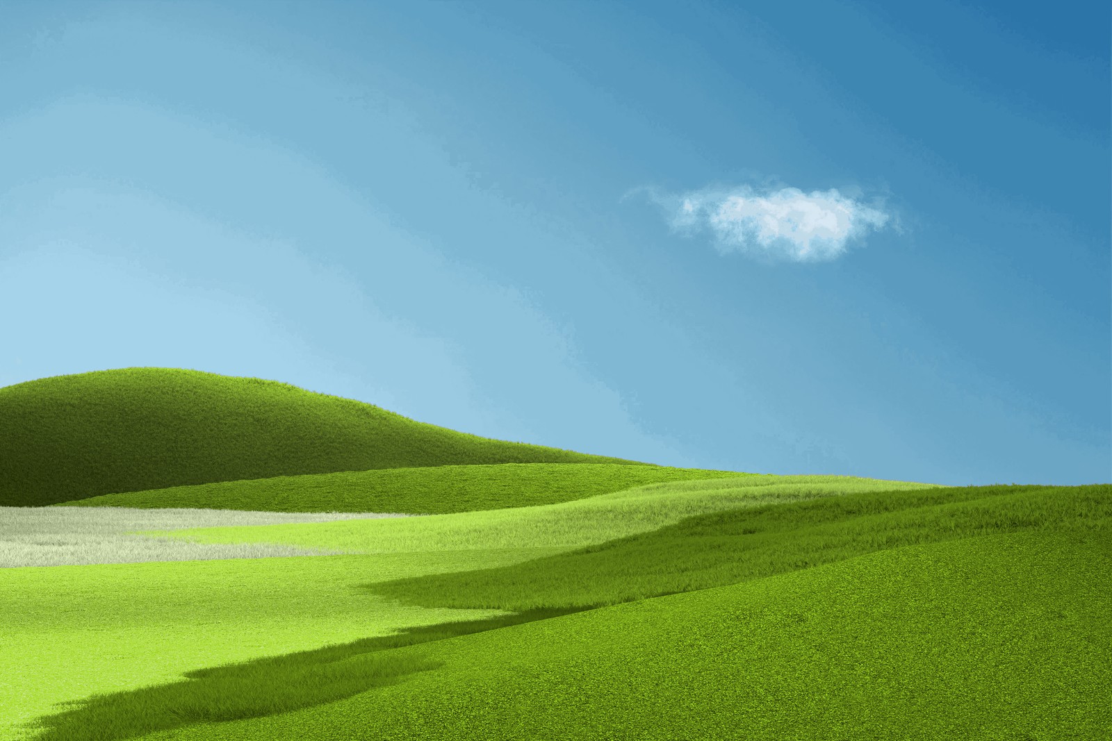 A close up of a green hill with a blue sky (microsoft surface, microsoft surface pro, surface, microsoft corporation, microsoft)