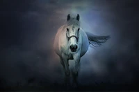 white horse, running horse, dark background, 5k, 8k