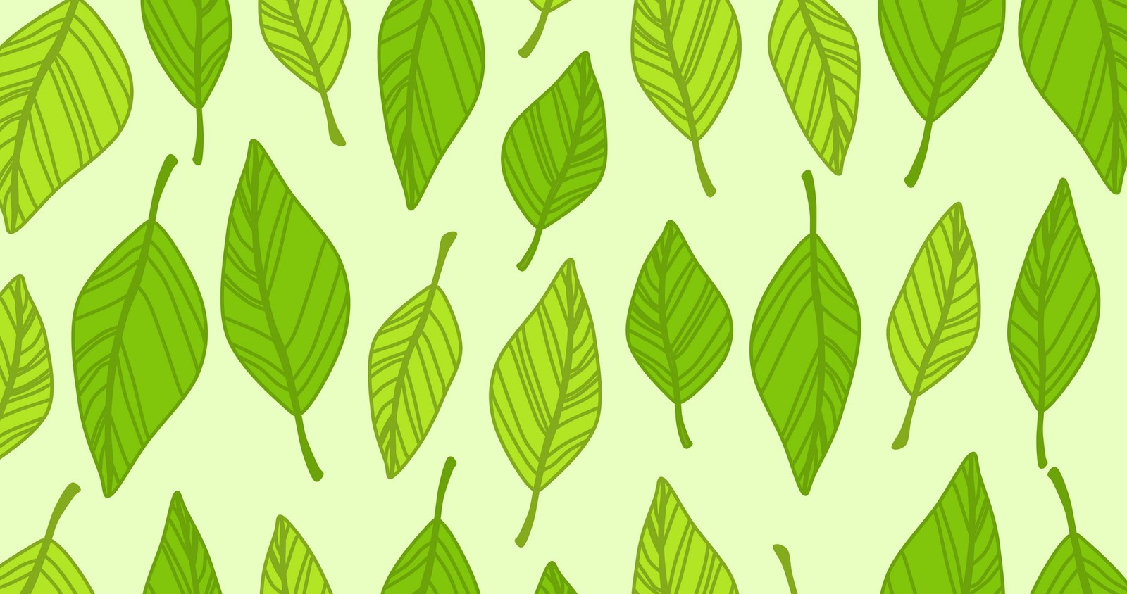 leaf, green, plant, pattern, tree Download Wallpaper