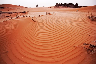 Olas de arena: Patrones en el paisaje del desierto del Sahara