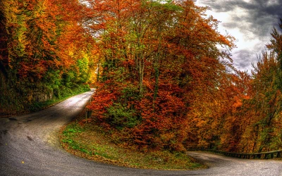 Cores de outono: uma estrada florestal cênica que serpenteia entre árvores decíduas