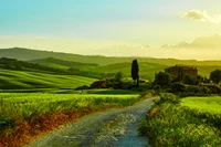 Paisagem toscana serena com colinas verdes onduladas e um caminho tranquilo