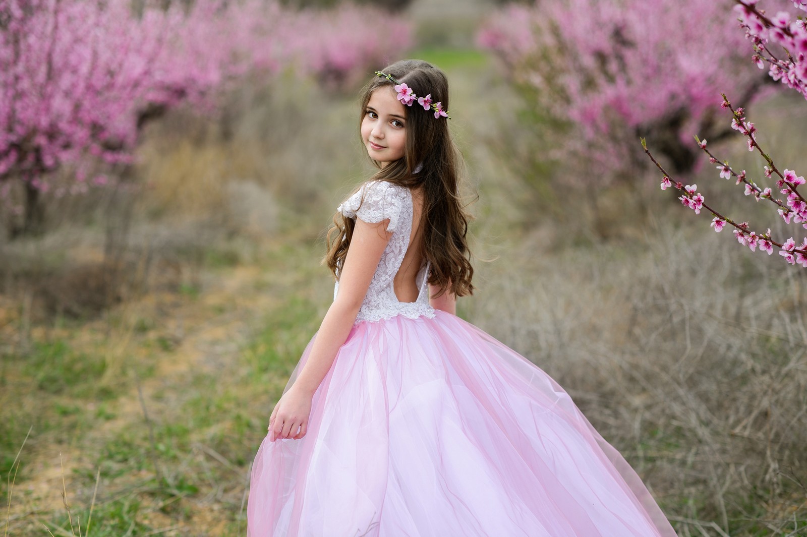 Un primer plano de una niña joven en un vestido rosa de pie en un campo (chica linda, femenino, rosa bebé, primavera, flor de cerezo)