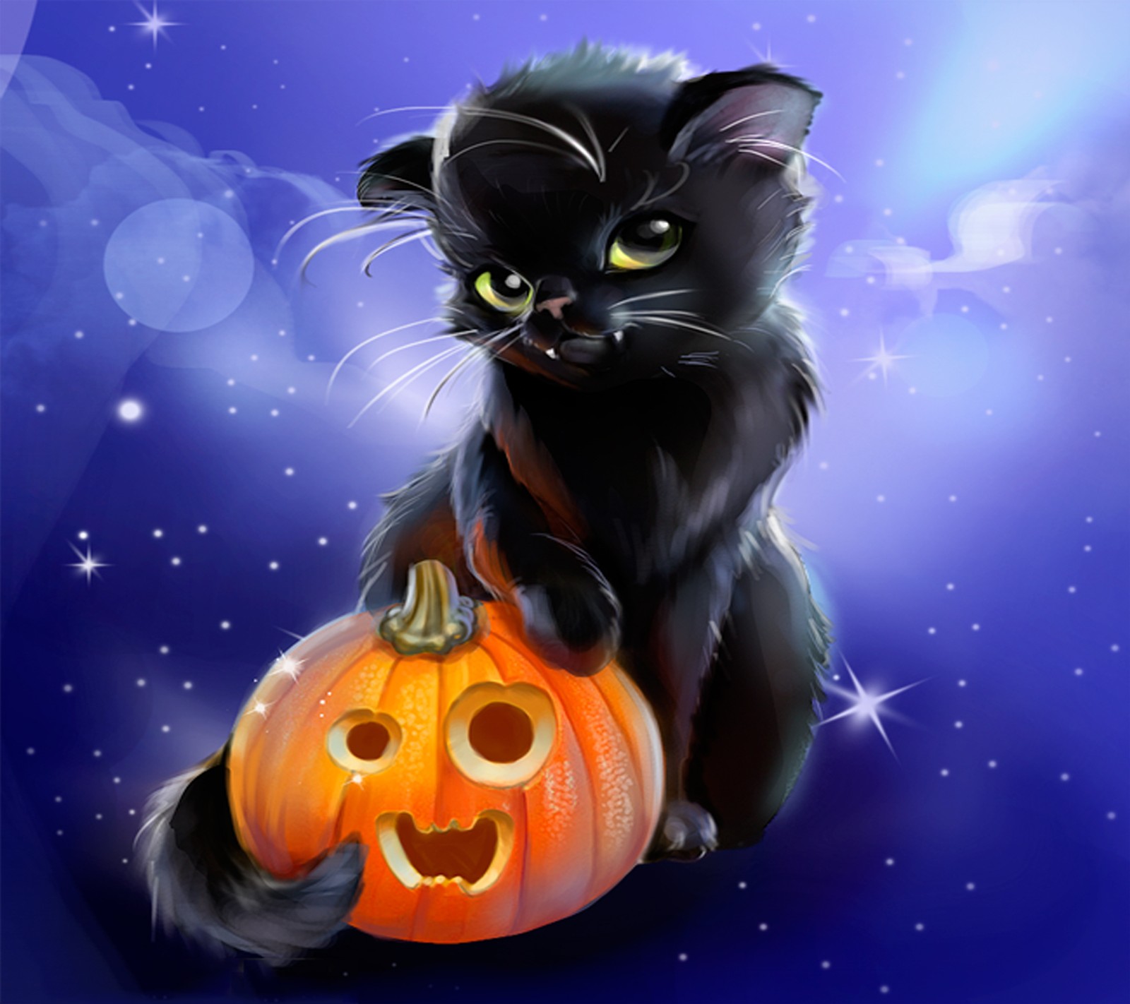 Descargar fondo de pantalla halloween, gatito