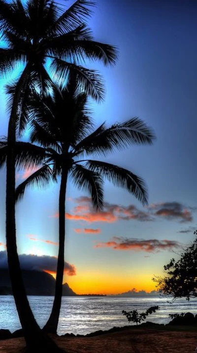 soir, sur la plage