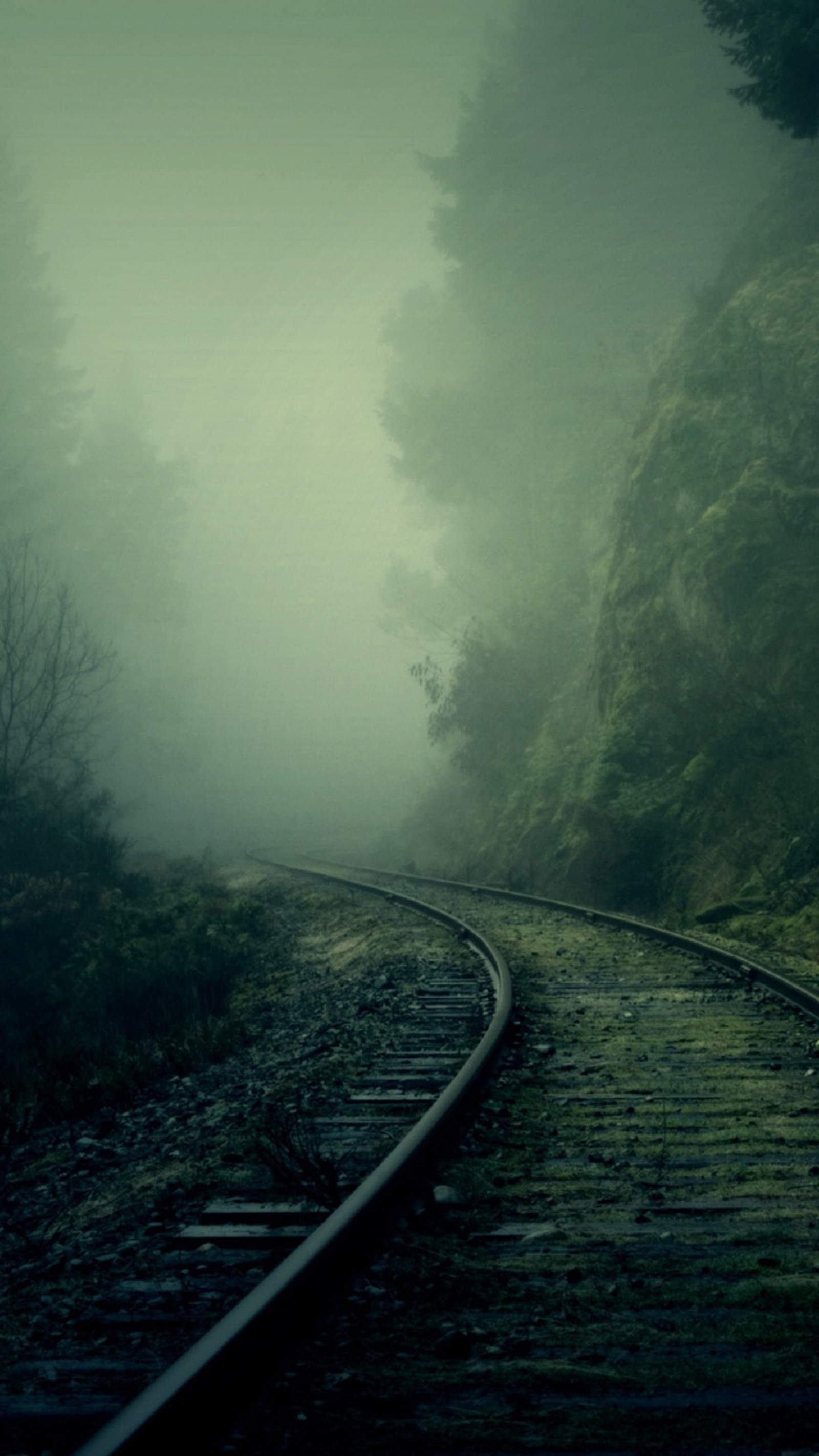 Il y a une voie ferrée qui passe à travers les bois (abstrait, sombre, forêt, paysage, nebline)