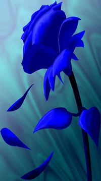 abstract, blue, flower, nature, rose wallpaper