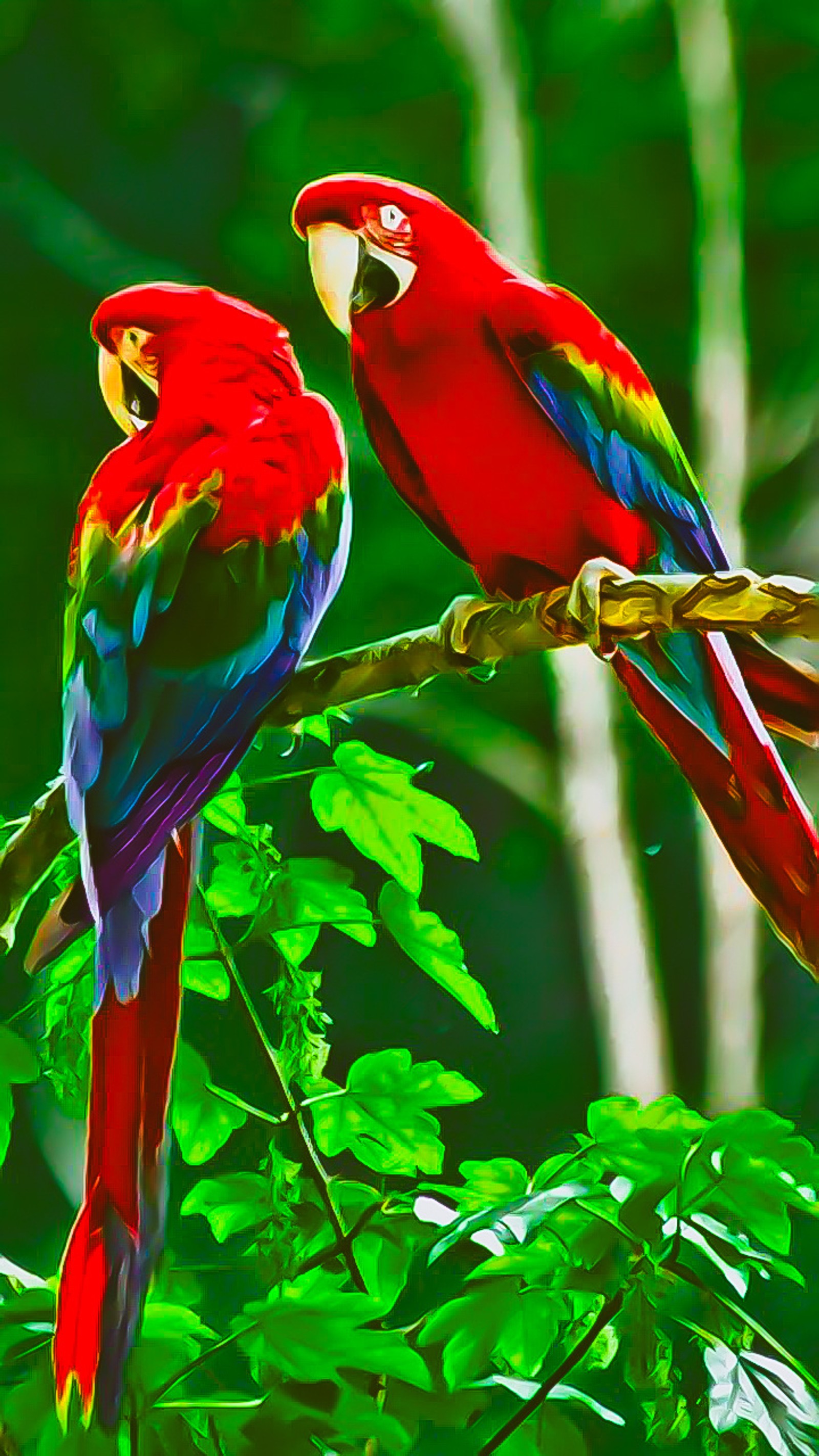 Two red and green parrots sitting on a branch of a tree (love, parrot, red, blue, green)