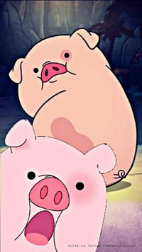 animal, pig wallpaper