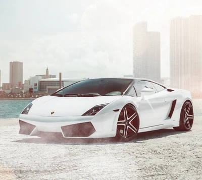 auto, gallardo, lamborghini, white