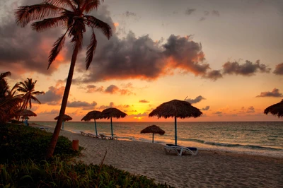 Playa tropical al atardecer con palmeras, sombrillas de paja y un océano tranquilo.