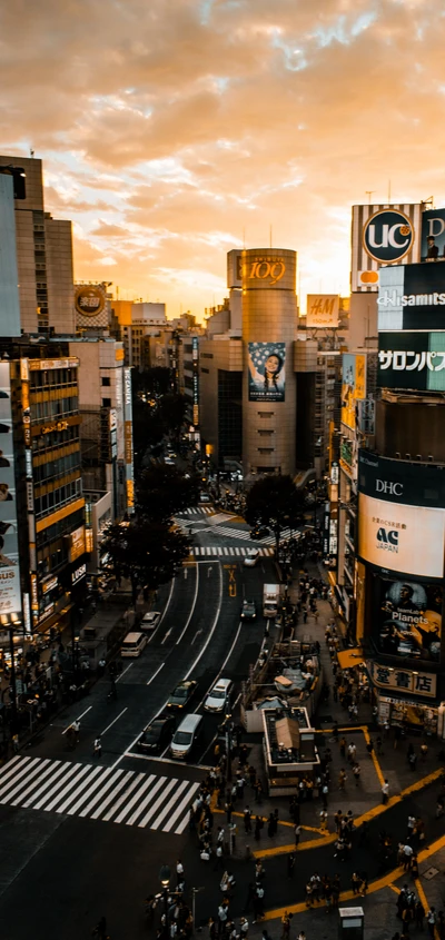 cloud, building, skyscraper, cars, light