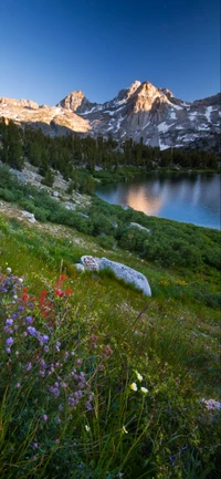 Vibrant Wildflowers Amidst Majestic Mountains and Tranquil Waters