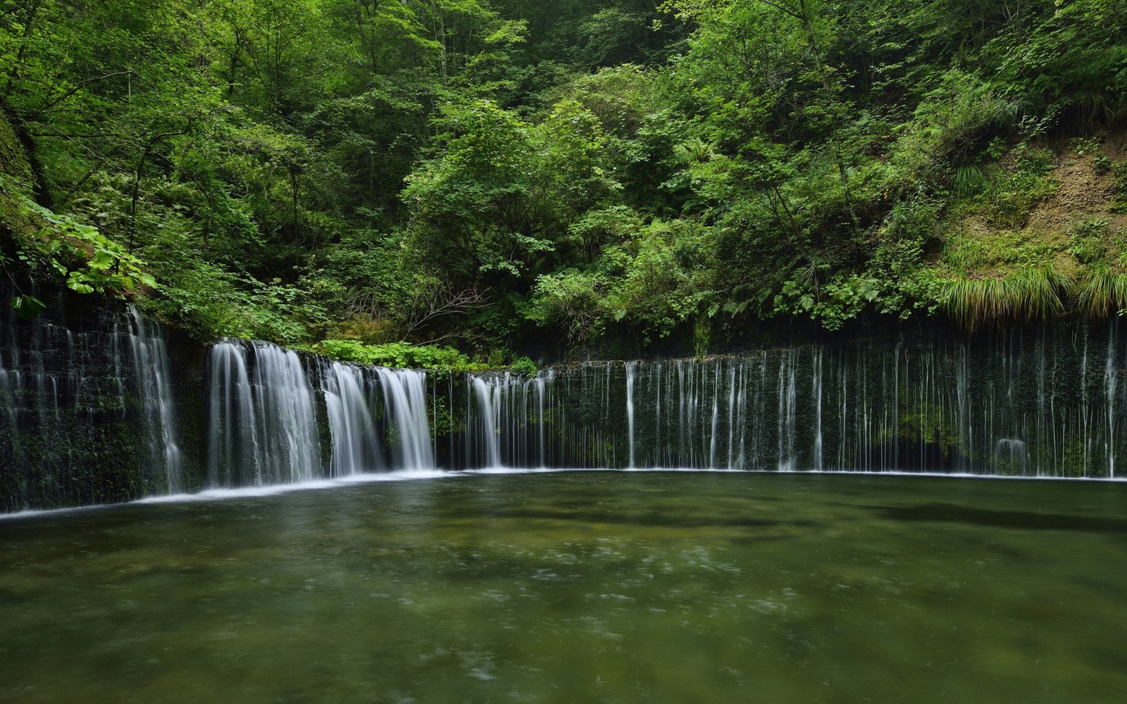 Una cascada en medio de un bosque con un bosque verde al fondo. (cascada, naturaleza, recursos hídricos, cuerpo de agua, agua)