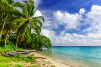 Paradis tropical : plage sereine avec des palmiers et des eaux bleues claires