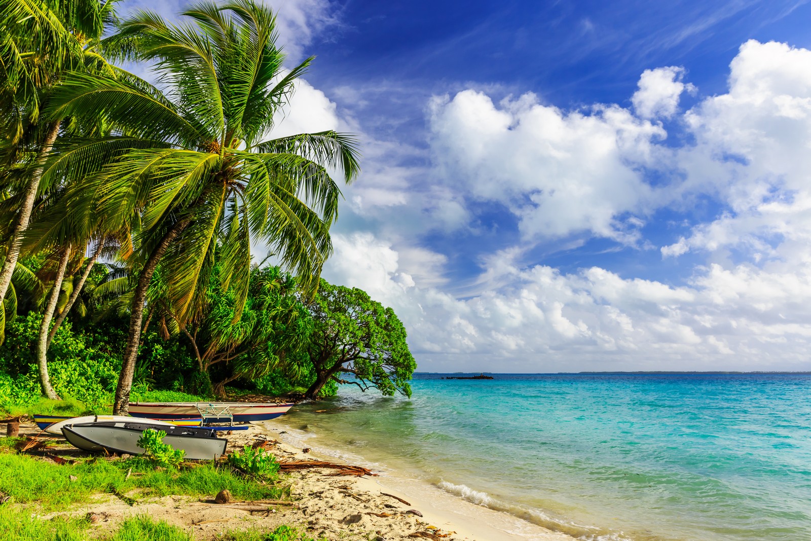 Une vue d'une plage avec un bateau sur le rivage et des palmiers. (plage, île, mer, atoll, tropiques)