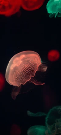 Electric Blue and Magenta Jellyfish in an Underwater Dance