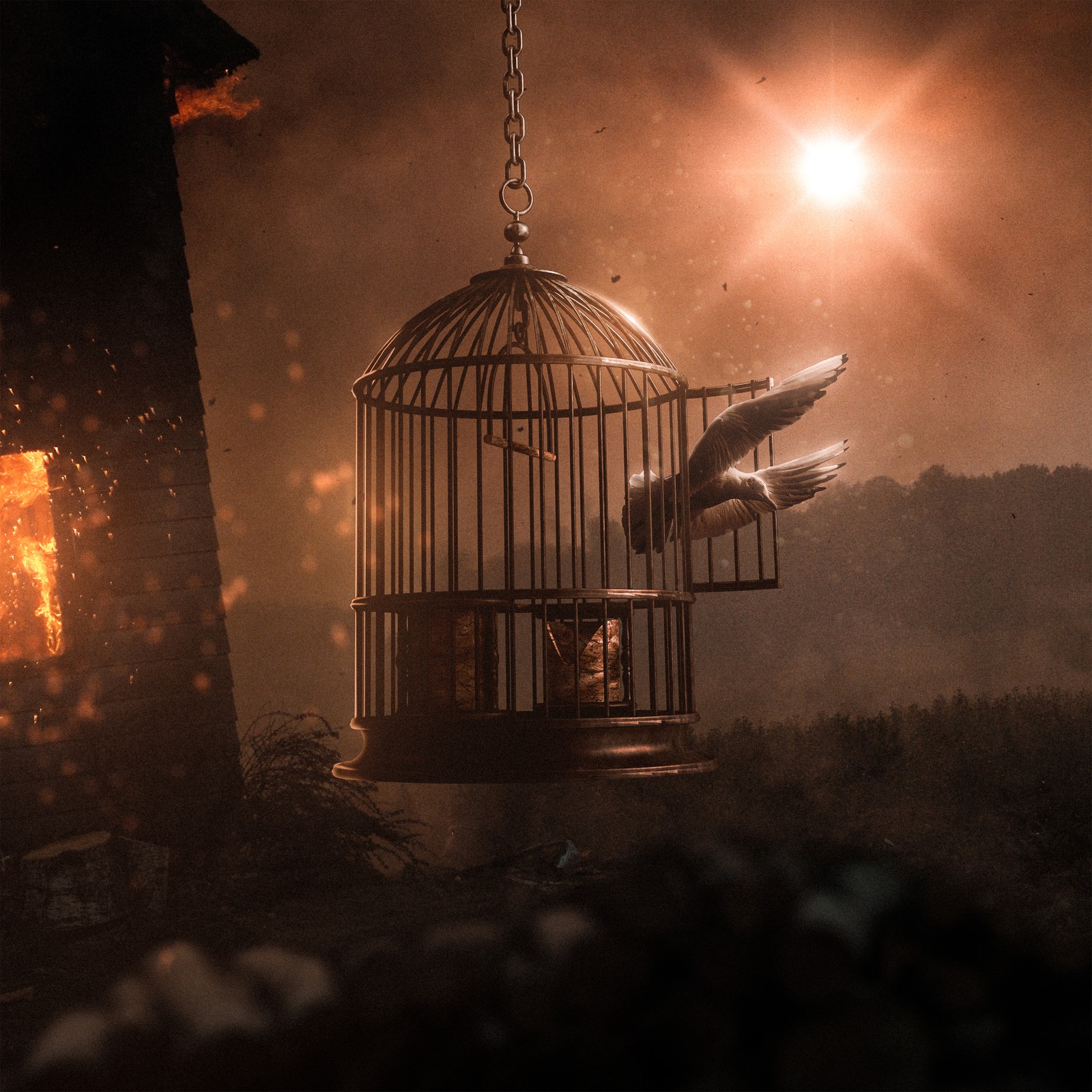 There is a bird in a cage hanging from a chain (dove, cage, freedom, surreal, fantasy)