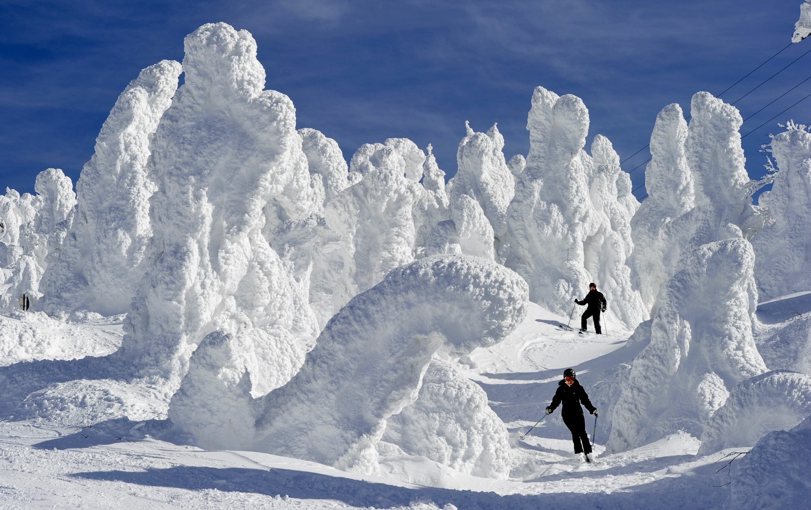 Skieurs sur une pente enneigée avec des arbres couverts de neige (ski, station de ski, station, forme glaciaire, glace)