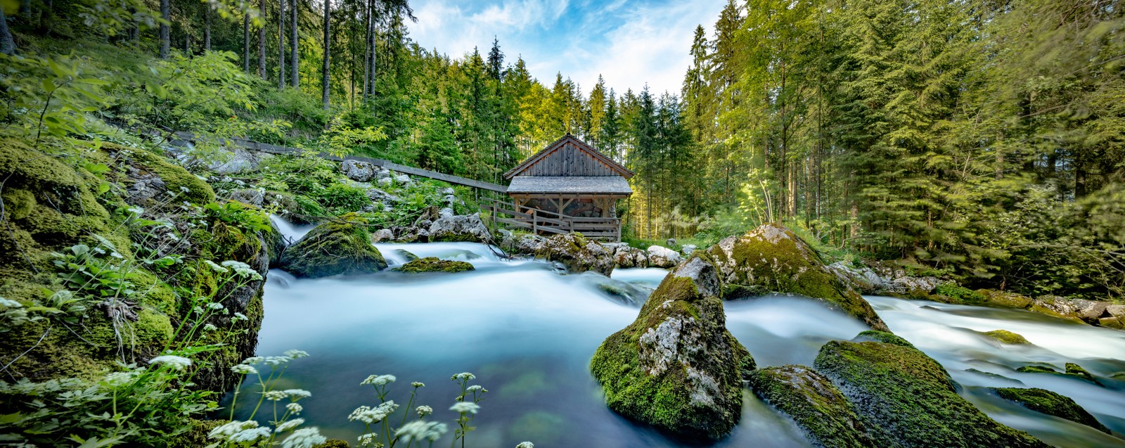 A small wooden house in the middle of a river surrounded by trees (gollinger mill, panoramic, austria, flowing water, gollinger wasserfall)