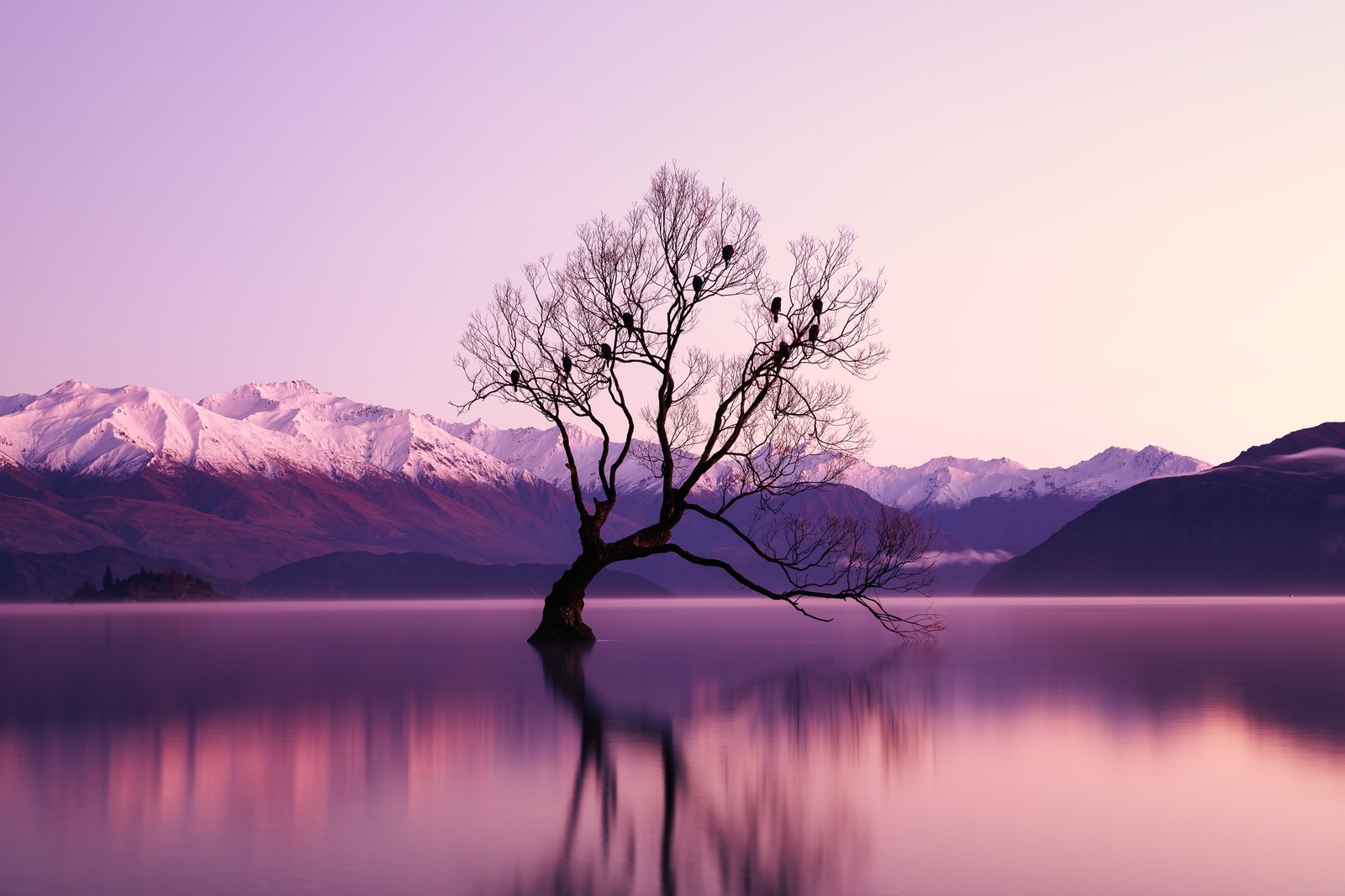 Árbol arafed en medio de un lago con montañas de fondo (withered tree, montañas glaciares, cubierto de nieve, crepúsculo, cordillera)