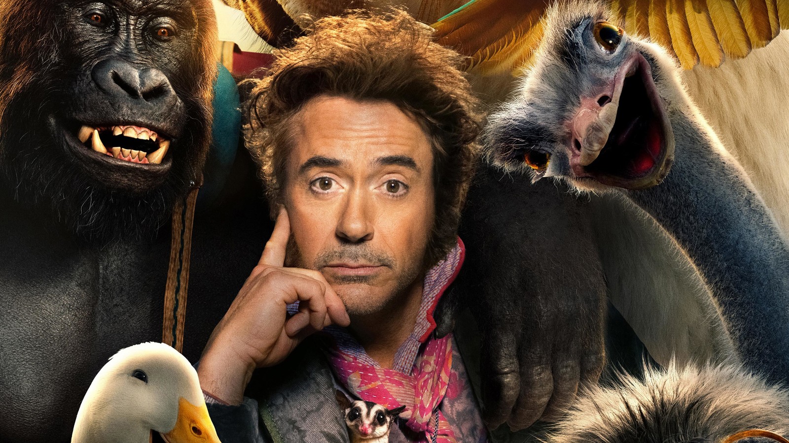 Close-up de um homem com um monte de animais à sua frente (dr dolittle, dolittle, filme, 2020, cartaz)