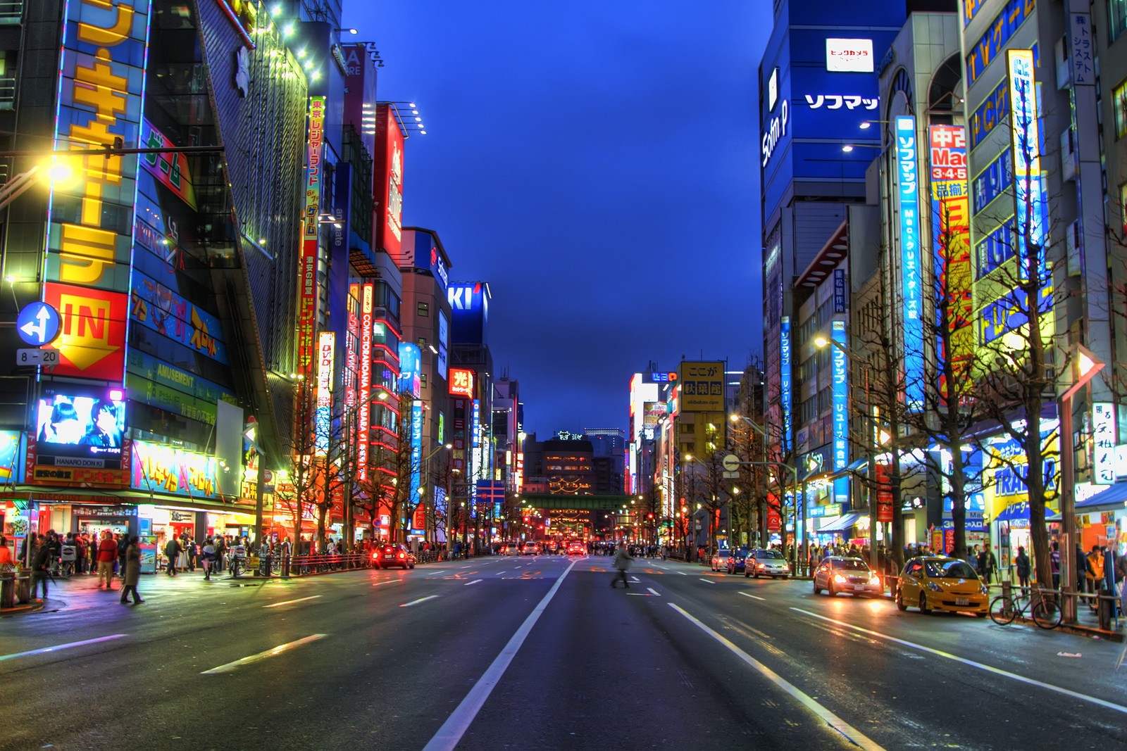 Panoramablick auf eine stadtstraße mit vielen neonlichtern und menschen auf dem bürgersteig (akihabara, metropole, stadtgebiet, stadt, wahrzeichen)