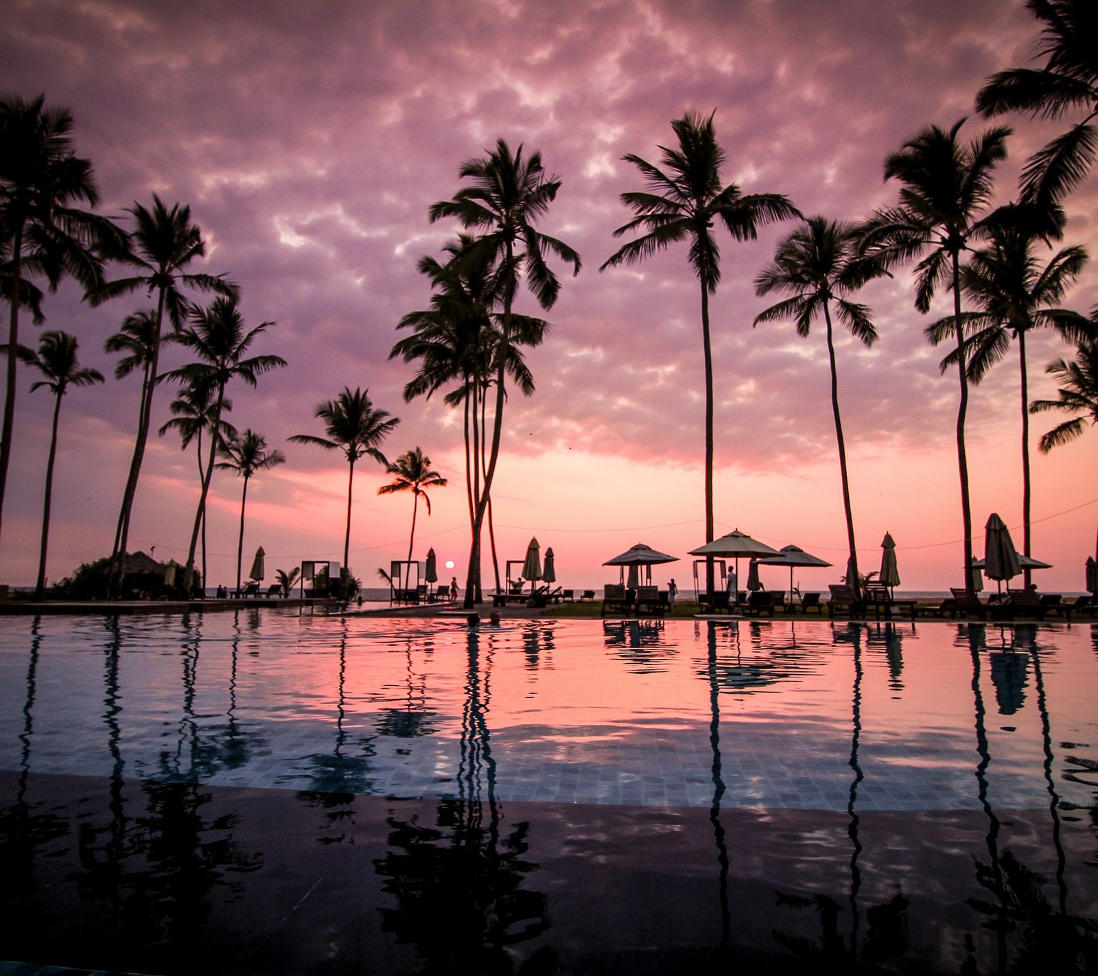 Uma vista aérea de uma piscina com palmeiras e guarda-sóis ao pôr do sol (praia, novo, legal, palmeira, paraíso)