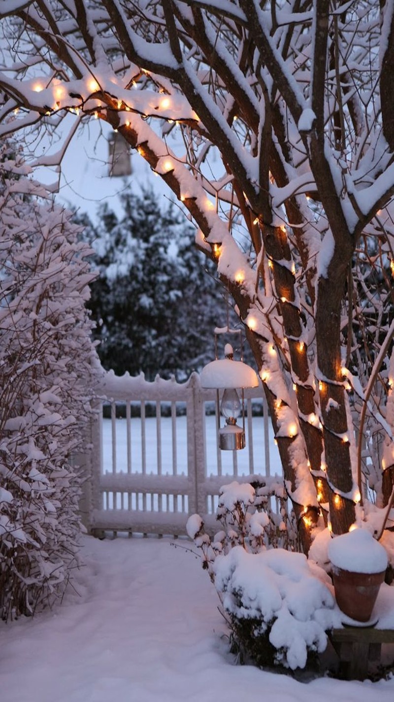 Escena nevada de un árbol con luces en una maceta (paisaje, nieve)