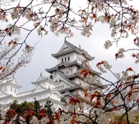 building, oriental, trees