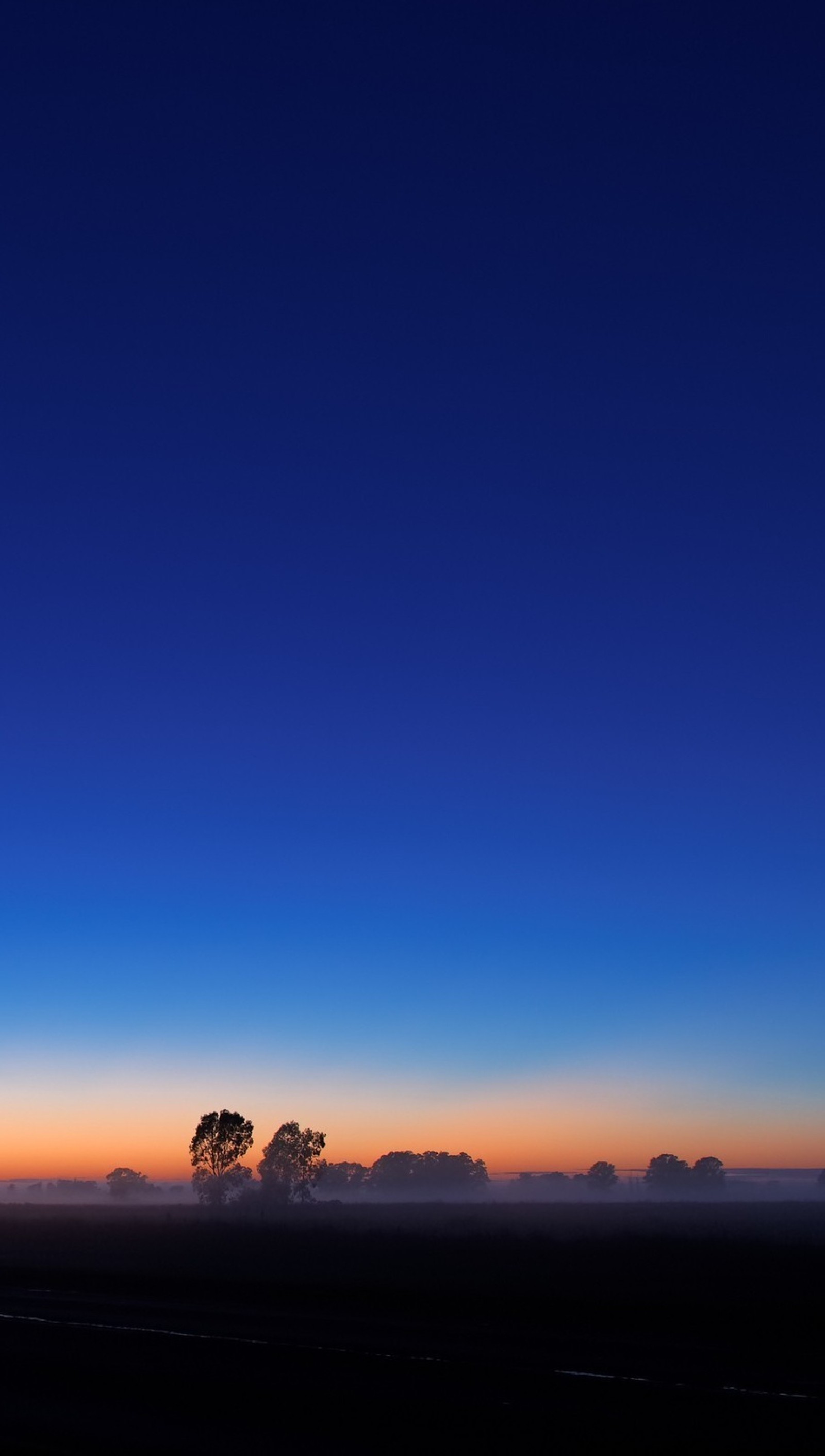 Vista aérea de un árbol solitario en un campo al atardecer (belleza, azul, cielo, atardecer)