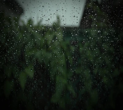 HD gotas de chuva no vidro com fundo verde exuberante