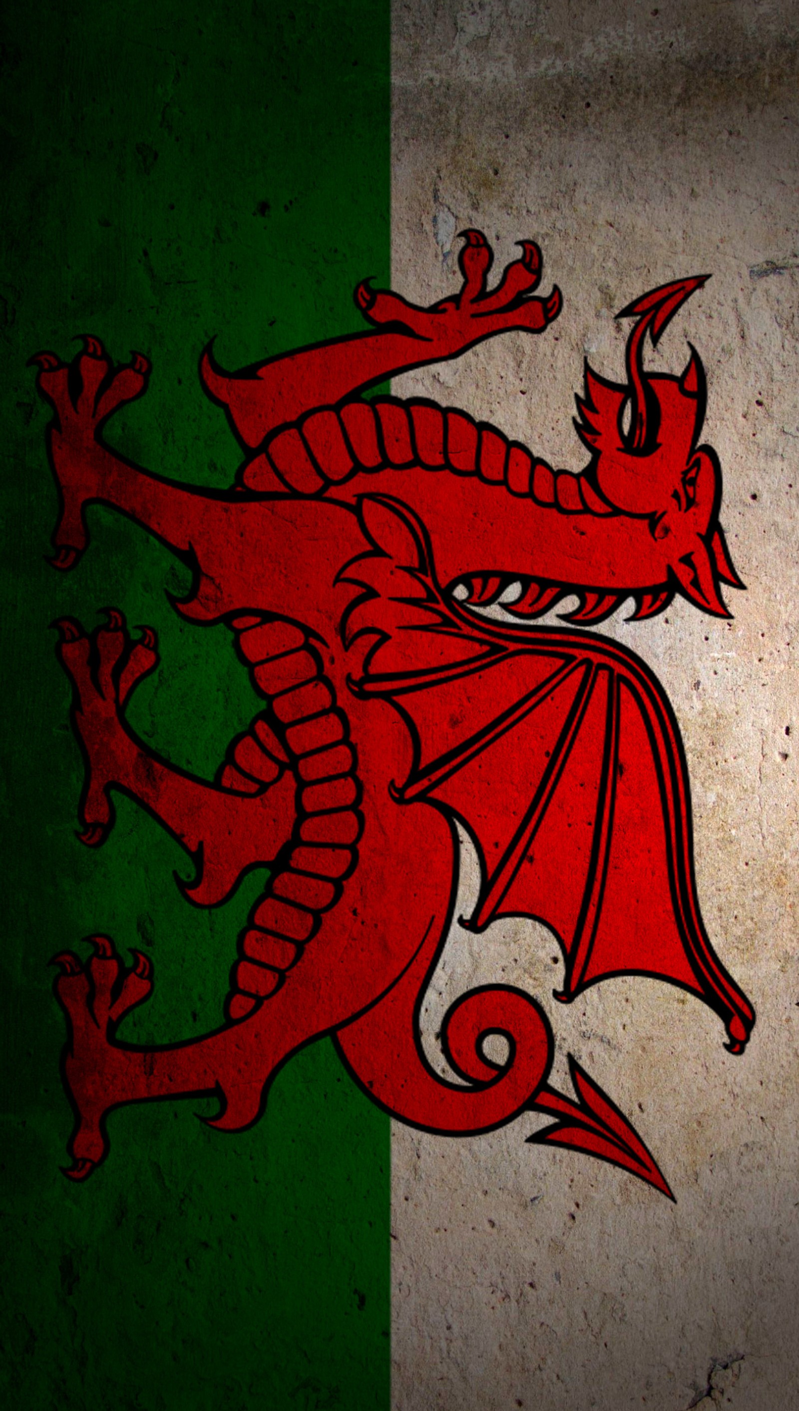 Imagem de um dragão vermelho em uma bandeira verde e branca (bandeira, bandeiras, gales, wales)