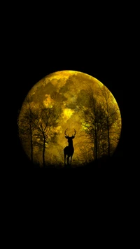 Cerf majestueux silhouetté contre une lune jaune brillante