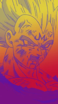 ball, dbz, dragon, goku, vegeta wallpaper