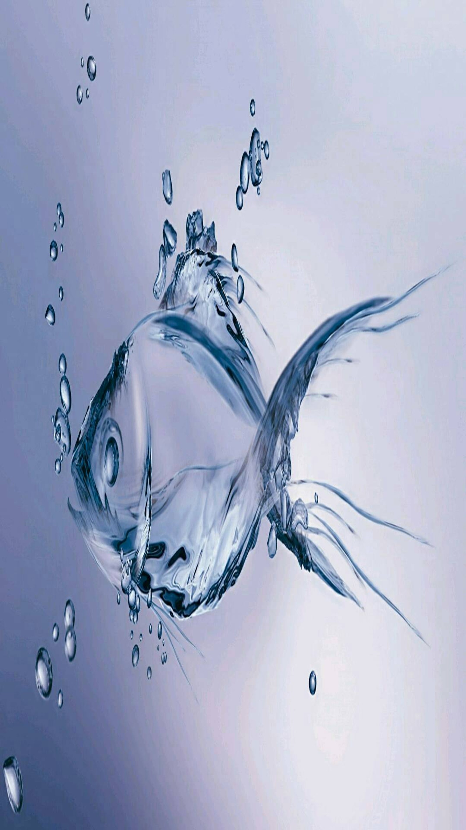 There is a fish that is floating in the water (fish 3d, image)