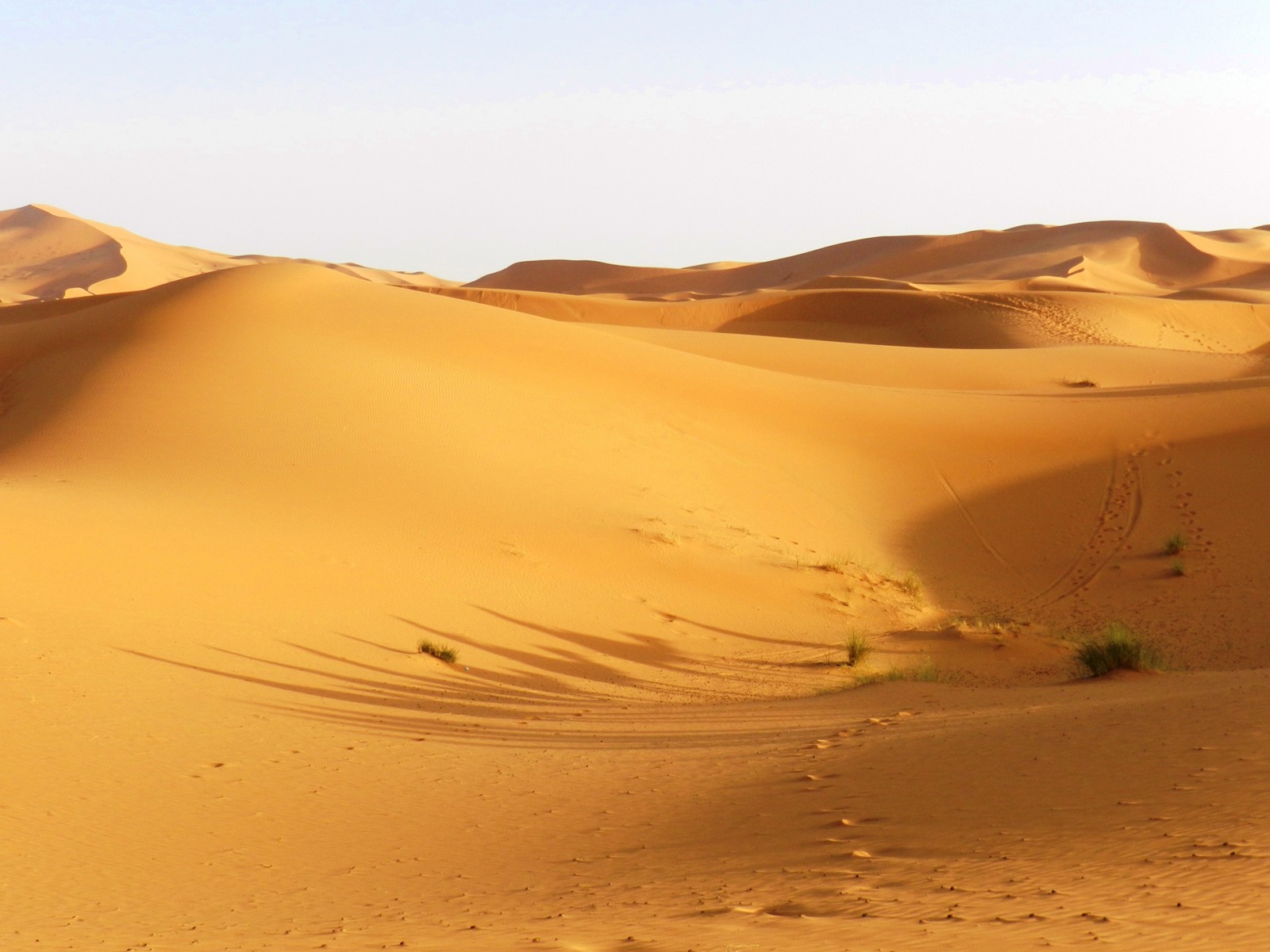 dune, desert, sand, erg, sahara wallpaper