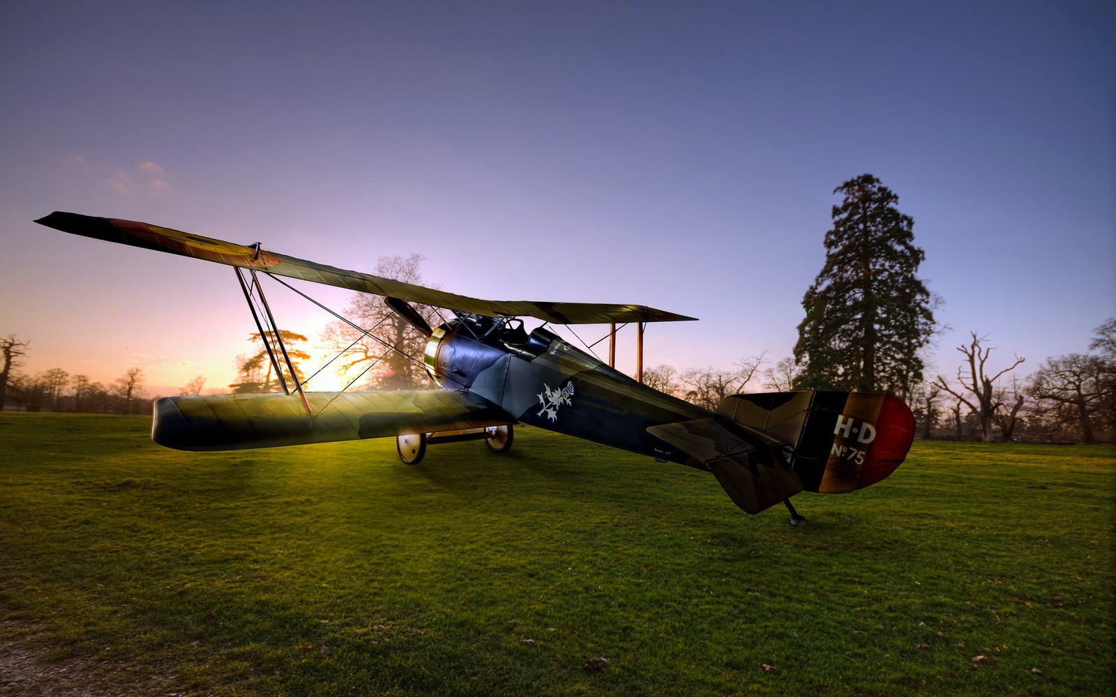 Um avião estacionado em um campo com um pôr do sol ao fundo (voo, aviação, biplano, hélice, viagem aérea)