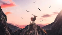 Majestic deer atop a rocky outcrop, surrounded by soaring eagles against a vibrant mountain sunset.