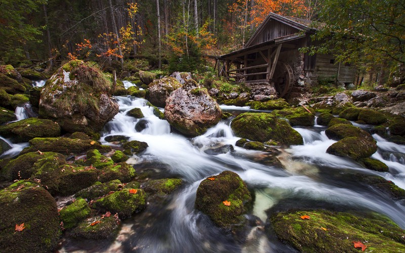 Крупный план ручья, протекающего через лес с камнями (водопад, природа, водоем, поток, вода)