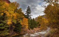 Autumn Serenity in a Forest Ecosystem