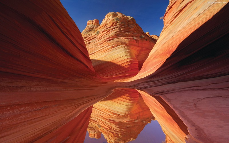 Крупный план каменной формации с отражением в воде (гранд каньон, grand canyon, каньон антилопы, каньон, природа)