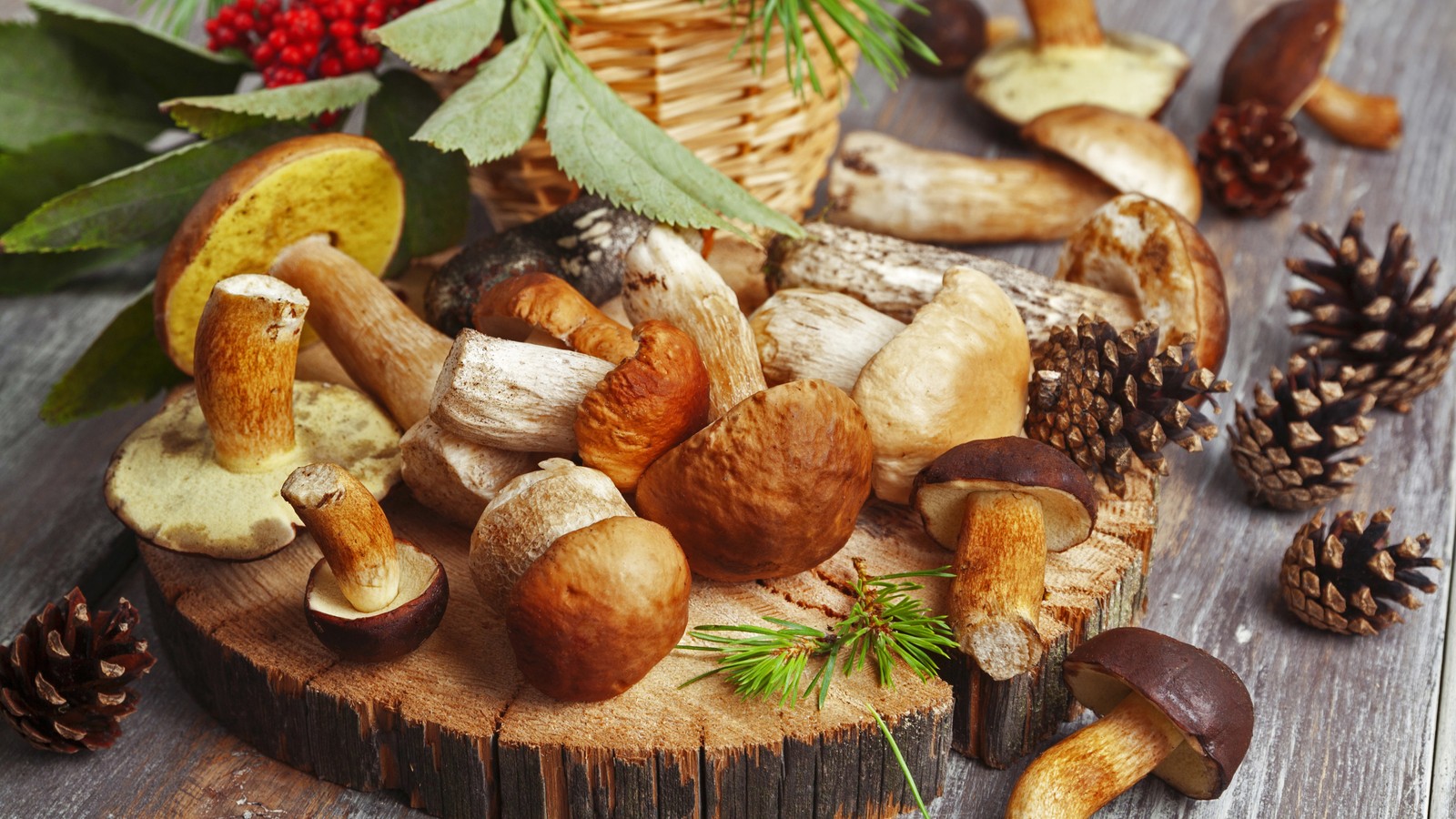 A close up of a basket of mushrooms on a wooden table (mushroom, conifer cone, penny bun, food, plant)