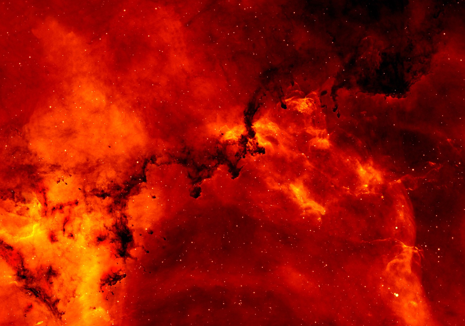 Un primer plano de una nebulosa roja con un campo de estrellas de fondo. (solar flares, fuego, espacio exterior, blazing, fondo rojo)